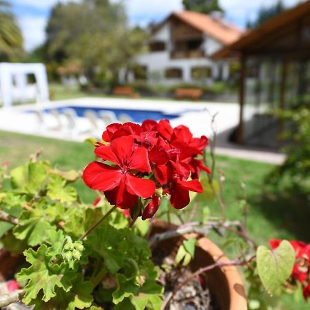 Quinta La Constanza Otel Tababela Dış mekan fotoğraf